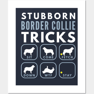 Stubborn Border Collie Tricks - Dog Training Posters and Art